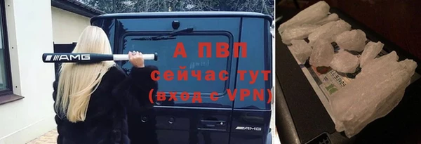 ПСИЛОЦИБИНОВЫЕ ГРИБЫ Кинешма
