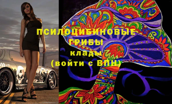 ГАЛЛЮЦИНОГЕННЫЕ ГРИБЫ Киренск