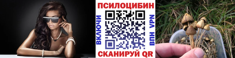 Псилоцибиновые грибы Psilocybe  Купить закладки  Череповец 